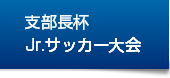 ジュニアサッカー大会・横浜支部杯
